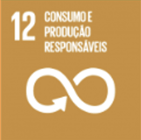 Consumo e Produção Responsáveis
